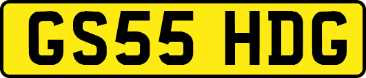 GS55HDG