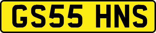 GS55HNS