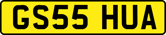 GS55HUA