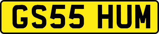 GS55HUM