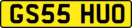 GS55HUO