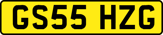 GS55HZG