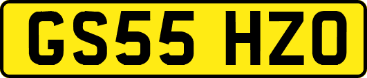 GS55HZO