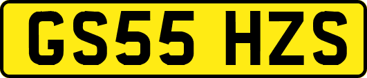 GS55HZS