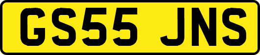 GS55JNS