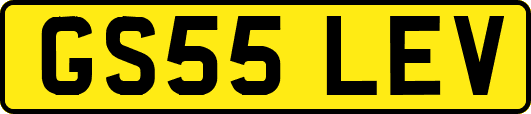 GS55LEV