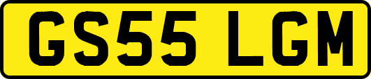 GS55LGM