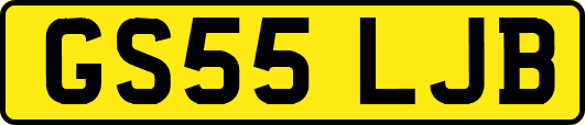 GS55LJB