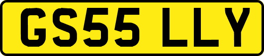 GS55LLY