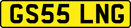 GS55LNG