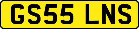 GS55LNS