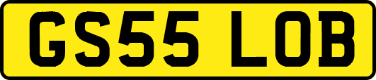 GS55LOB