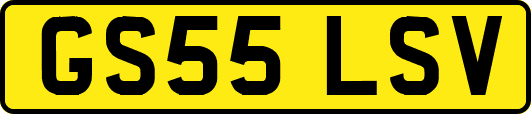 GS55LSV
