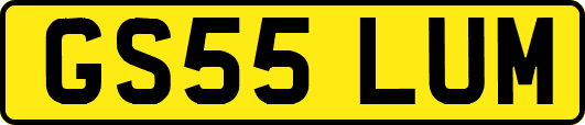 GS55LUM