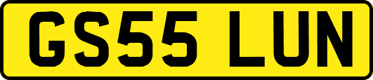 GS55LUN