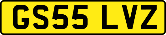GS55LVZ