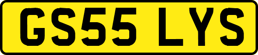GS55LYS
