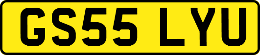 GS55LYU