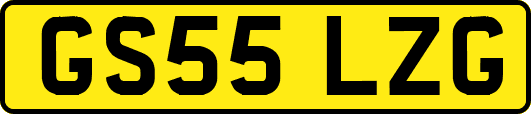 GS55LZG