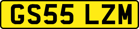 GS55LZM