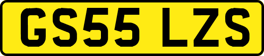 GS55LZS
