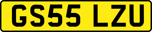GS55LZU