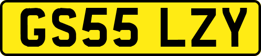 GS55LZY