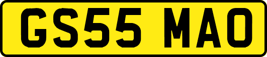 GS55MAO