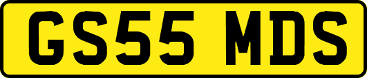 GS55MDS