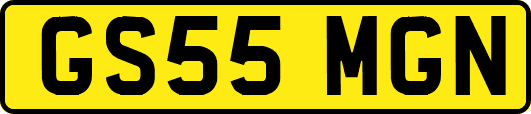 GS55MGN