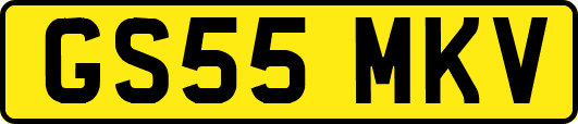 GS55MKV