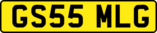 GS55MLG