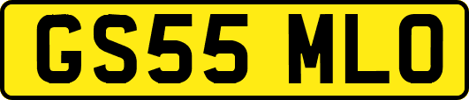 GS55MLO