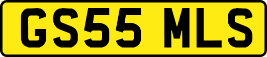 GS55MLS