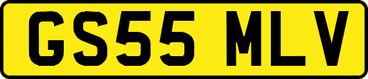 GS55MLV
