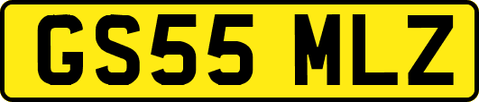 GS55MLZ