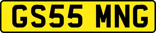 GS55MNG