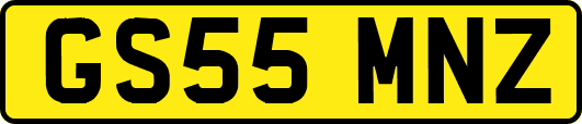 GS55MNZ
