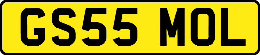 GS55MOL