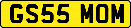 GS55MOM