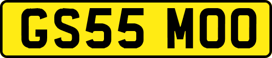 GS55MOO