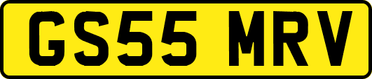 GS55MRV