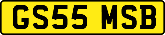 GS55MSB