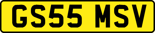 GS55MSV