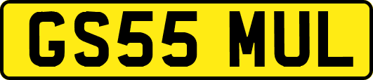 GS55MUL