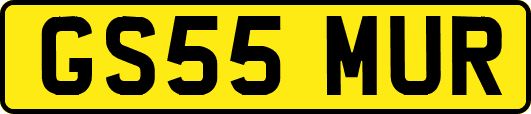 GS55MUR