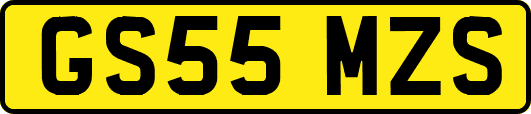 GS55MZS