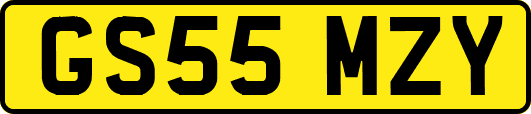 GS55MZY