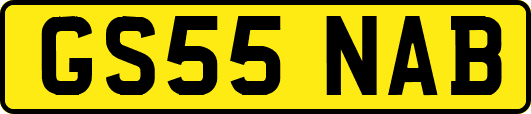 GS55NAB