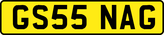 GS55NAG
